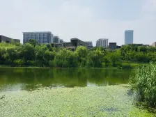 宝龙广场远香湖公园一路之隔 顶复拎包入住带产权车位 仅需契税