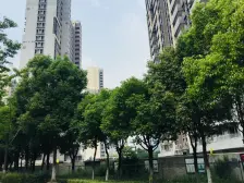 此房南北通透,楼层好,视野开阔,采光充足