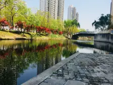 嘉宝梦之缘洋房顶复,纯毛坯,未住过人,满五年,随时看