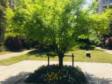 次新品质小区,满五仅一,装修好视野好,配套齐全