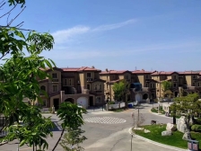 高品质大别墅,采光好,花园面积多,业主诚心出售