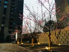 绿地卢塞恩小镇三期B02地块 南北通透,采光好 视野好,诚心出售