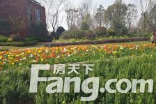 青秀未遮山一期 4室2厅 西北