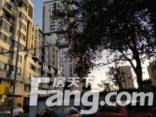 真实在售,随时看房,价格合理。