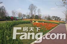 青秀未遮山一期 3室2厅 东南