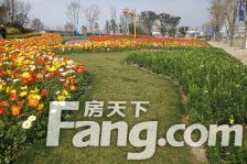 青秀未遮山一期 3室1厅 东南 南