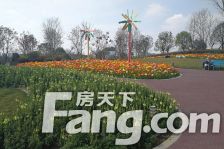 青秀未遮山一期 3室1厅 东南 南