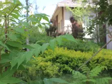 经典复式 经典户型 户型方正 使用率高经典复式