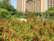 华发精装三室两卫 南北通透 品质小区