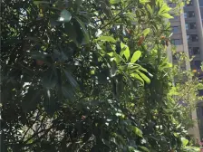 中高楼层,格局好,采光充足,配套齐全