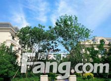 邦成·宫园墅 3室2厅 南 北