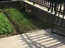 中海洋房 顶楼带复试带露台带车位 产证194平 实勘未显