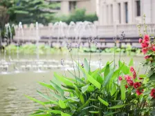 龙湖品质 南北通厅 前排无遮挡好楼层 婚房精装修