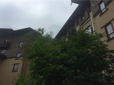 养花种菜的 花园儿 绿色充盈天然氧吧 精装修