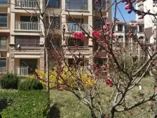 碧海尚城A区 2室1厅 南