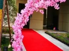 绿地国际博览城 南昌 诚售 可以看房