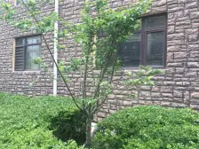 西山水库 张家村 西山湖 联排别墅 样板间装修一步到位