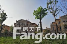 瑞马意墅洋房,一层带院子,带负一,看房有钥匙。