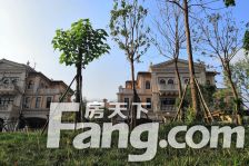 瑞马名门 3室2厅 南