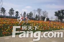 青秀未遮山一期 3室1厅 西北