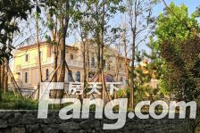 高档小区,户型方证,小区物业绿化好