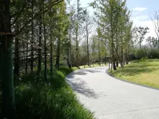 龙兴 龙兴国际生态新城金茂悦三房58万