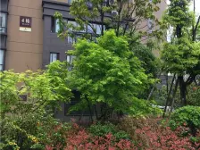 奥克斯缔壹城 1室1厅 南