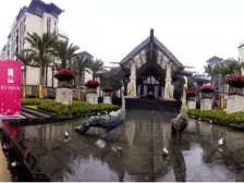 蓝光林肯公园(观澜府) 南北通透,采光好 中间楼层