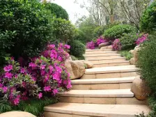 南港 房龄新 双卫 满五 带电梯 商品房 朝南