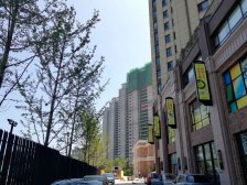 一期独栋别墅 地上两层带地下 带院子