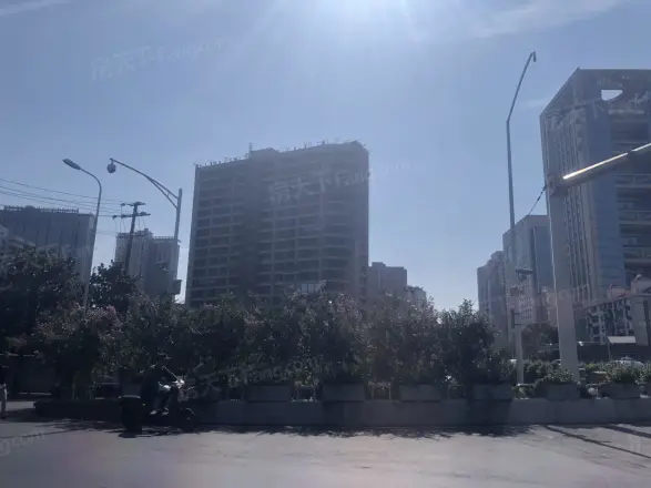 天心白沙里
