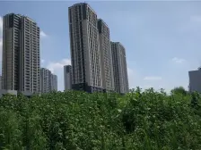 永威品质四房,享南区教育天花板,业主诚售