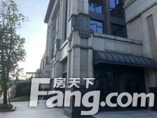 天然氧吧 山林名墅类独栋别墅 三面院子 双车位