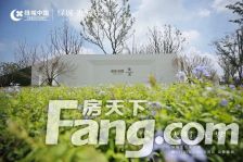 绿城沁园 4室2厅 南