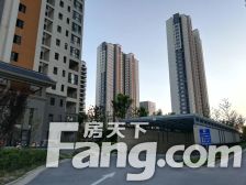 鸿顺观邸 8室3厅 南 北