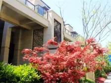 次新小区,龙湖天街旁下叠别墅,地上2层地下2层