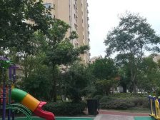 简欧轻奢,大开间,近商圈,房型正气,繁华地段,双阳台