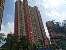 左岸王府联排别墅,总价低268万随时看房