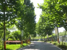 璧山街道 中国铁建香漫溪岸四房68万