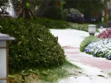 万豪公园里 毛坯三房 中间楼层 无遮挡光线好