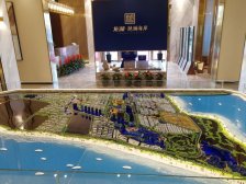 龙湖滟澜海岸大独栋 产证面积360平带车位好位置!