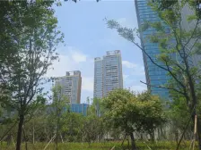 雅颂居 南北通透,采光好 装修好,环镜优美 近地铁 视野好,诚心出售