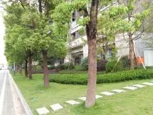 巴国城 中建御湖壹号D区四房120万