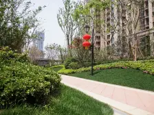 此房方正纯南,户型格局好,中高楼层,视野宽阔,急卖