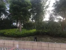 东城君荟庭环境优美的大三房。。