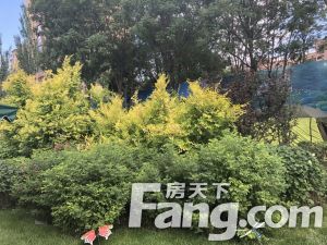 此房楼层好,采光充足,视野开阔,交通便利,配套齐全