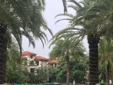 佳兆业帝景中央 5室3厅 南