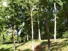 精装修,带着南北小院150平,带车位,上下四层