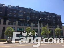 万科蓝山 1室0厅 西