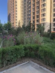 巨华世纪城·明祥园 2室1厅 西南